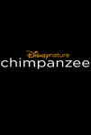 Chimpanzee